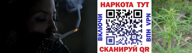 APVP Вязьма