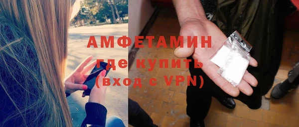 мдпв Богданович