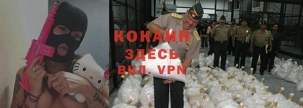мдпв Богданович