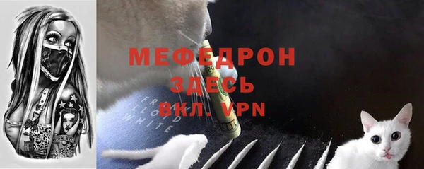 мдпв Богданович