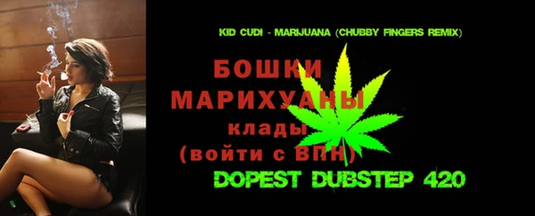 мдпв Богданович