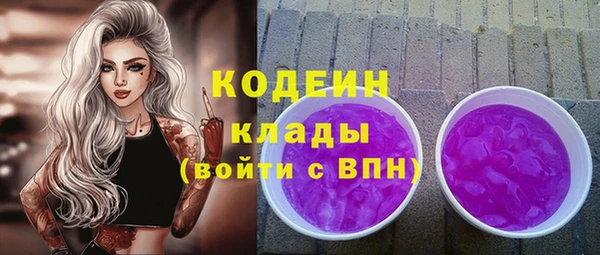 соль ск Аша