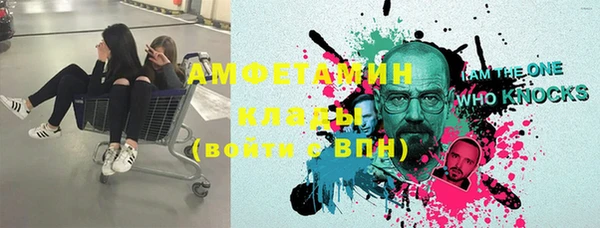 мдпв Богданович